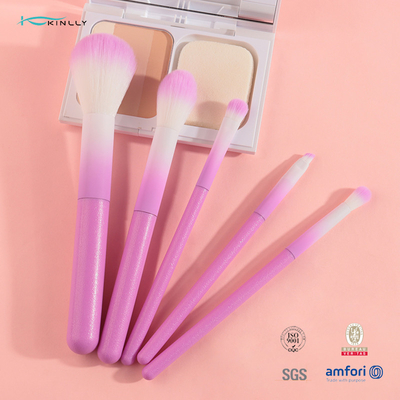 Красочный косметический набор щетки макияжа 5pcs с розовой пластиковой ручкой