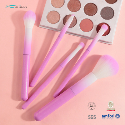 Красочный косметический набор щетки макияжа 5pcs с розовой пластиковой ручкой