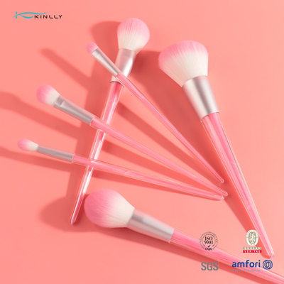 Волокно розовой ручки набора щетки макияжа 6 частей прочной пластиковой искусственное